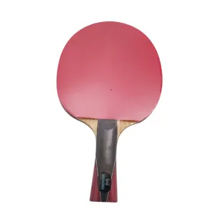 China Professional Ittf Custom Outdoor 5 8 9 Stars Dark Wood Rubber Silicon Ping Pong Sports Advanced Table Tennis Racket