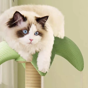 Árbol Ecológico Moderno/Clásico de Madera para Ahorrar Espacio con Plataforma de Salto, Juguete para Mascotas, Estructura para Trepar y Nido para Gatos - Product Image 4