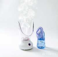 Masseur facial personnel à vapeur avec embout nasal, brume chaude pour le visage et le nez, pour le nettoyage des pores et le soulagement des sinus