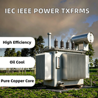 Transformador Eléctrico Pequeño de Fábrica, 60kva, 80kva, 350kva, 400kva, 600kva, 700kva, 800kva