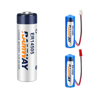 Batterie RAMWAY ER14505 3.6V pour compteur d'eau intelligent à carte IC, pilote de servomoteur PLC Delta, pack de batteries au lithium n°5
