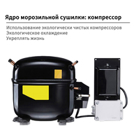 Lyophilisateur de séchage et lyophilisateur domestique avec aspirateur pour fruits et légumes