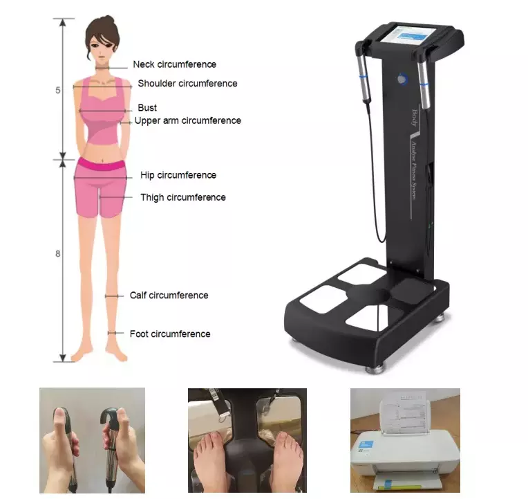 ORANGLES Beco Manufacturer's 3D Body Fat Scanner Full Body and Segmental Measurements with Free Printer 1 Year Warranty - elegant presentation - exhibiting components - Image 6 of 6 | ideal for home | Discount on Beco Manufacturer's 3D Body Fat Scanner Full Body and Segmental Measurements with Free Printer 1 Year Warranty Virginia | Free Shipping ORANGLES