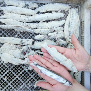 Máquina empanadora de pollo, Nugget, anillos de cebolla, Nugget, máquina empanadora de pollo - Product Image 6