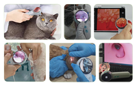 Otoscope vétérinaire numérique HD EURVET, endoscope auriculaire portable rechargeable pour clinique vétérinaire (chiens et chats)