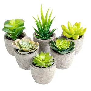 Plantes succulentes artificielles décoratives en pot, Faux Cactus, aloès avec Pots gris, plante topiaire artificielle en pot, entretien zéro