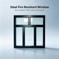 Fenêtre fixe en acier moderne non isolée, résistante au feu, certifiée FW60 BS476, verre ignifuge, apprêté, solution complète