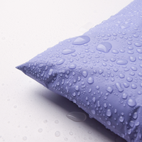 Sac d'expédition en plastique pour colis, sac d'emballage pour courrier, sac d'emballage imprimé, couleur violette, pour chaussures et vêtements