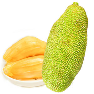 ジャックフルーツ粉末ジャックフルーツエキス - Product Image 4