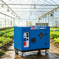 Générateur diesel silencieux portable 8KW pour la maison, démarrage électrique 9KW max, groupe électrogène diesel avec AVR, grand réservoir 25L, 230V 400V 50Hz