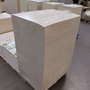 Papier en rouleaux double face pour gobelets, vente en gros d'usine, 210 g/m², 280 g/m² - Product Image 1