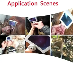 Inseminación de visión artificial de mano para ganado vacuno bovino <span class=keywords><strong>AIG</strong></span> inseminación visual BMV <span class=keywords><strong>AIG</strong></span> pistola para ganado equino - Product Image 5