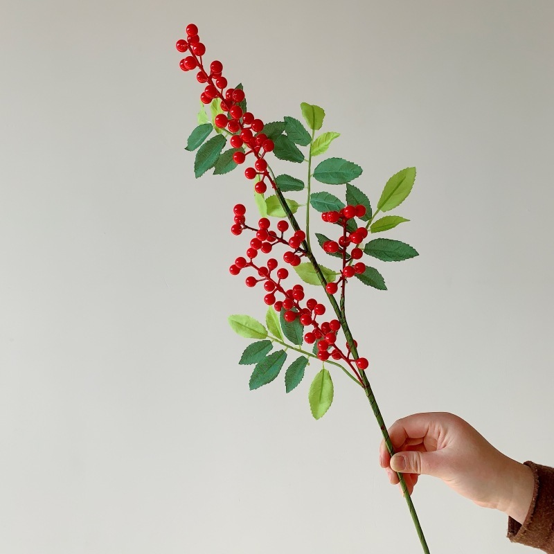 Un fruit de houx avec des feuilles