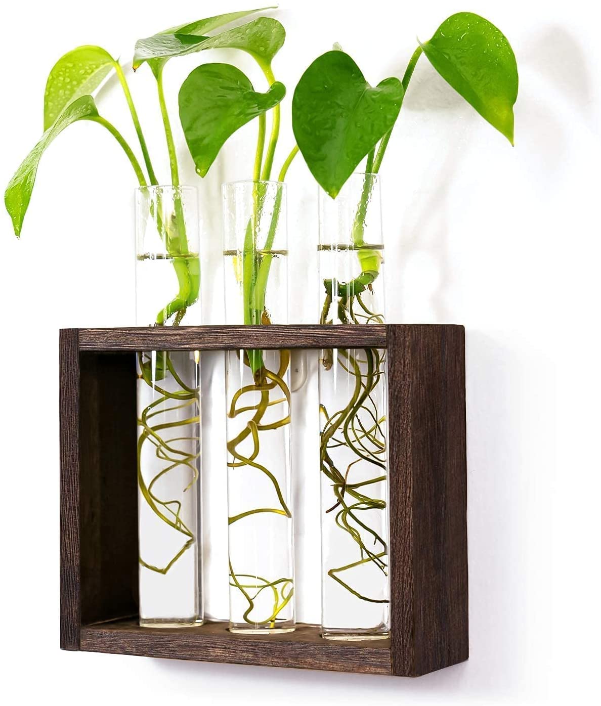 Censous 2 vasi per provette in vetro in legno con supporto per fiori, per piante, casa, giardino, decorazione