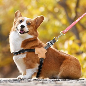 Harnais réfléchissant pour chien de petite et moyenne taille, gilet anti-traction pour chat, sangle de poitrine pour chiot, accessoires pour Pug, Chihuahua, Bouledogue - Product Image 2