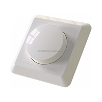 Gradateur manuel de contrôleur de lumière LED 250W-500W pour l'éclairage résidentiel et commercial Gradation de luminosité 220V