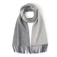 Écharpe à franges polyvalente épaisse et chaude en laine d'agneau pour femmes, style coréen, nouveauté en stock, tendance automne/hiver