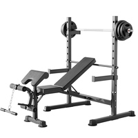 Banc de musculation réglable en acier allié, robuste et pliable, station d'entraînement avec extension de jambes et curl preacher, pour salle de sport à domicile
