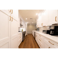 Meubles de cuisine haut de gamme populaires et armoires de rangement personnalisables, style Shaker modulaire, avec charnières à fermeture amortie