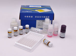 CE101 <span class=keywords><strong>Kit</strong></span> de bandelettes de <span class=keywords><strong>test</strong></span> vétérinaire IElisa pour l'extraction et la détection de l'aflatoxine B1 dans les échantillons d'arachide et de blé - Product Image 3