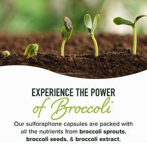 Natuurlijke Vegan 60 Capsules Immuunsysteem Gezondheid 50MG Sulforafaan Supplement met Glucorafaanine Myrosinaas - Product Image 4