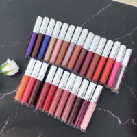 Kozmetik satıcıları toptan özel etiket lipgloss hiçbir logo temizle dudak parlatıcısı