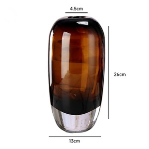 Vase en verre transparent pour table, grande bouteille décorative bombée, récipient contemporain pour fleurs hydroponiques, pour la décoration intérieure - Product Image 3
