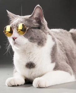 Lunettes de soleil amusantes pour chat et chien, lunettes pour animaux de compagnie, rondes, en métal, petites, classiques, rétro - Product Image 3