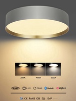 Plafonniers ronds de style moderne et luxueux 60W 80W 100W 120W DALI à gradation suspendue