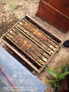 بديل حبوب لقاح النحل العضوي في مكمل غذائي للنحل العضوي عالي البروتين في كيس تعبئة - Product Image 6