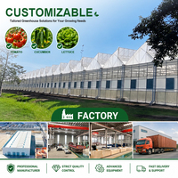 Serre commerciale multi-travées à structure métallique renforcée, durable et stable, facile à assembler et à exporter