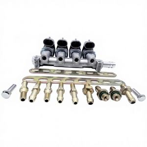 Modificação de Carro a Gás LPG/CNG, Peças Automotivas de Fundição em Cinza, Spray Rail de 2 Ohm da China - Product Image 1