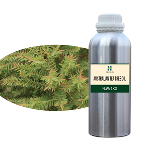 Olio Essenziale Puro all'Ingrosso Etichetta Privata Olio di Tea Tree Anti-infiammatorio per Tutti i Tipi di Pelle Supporto per il Cuoio Capelluto Aromaterapia OEM ODM - Product Image 2