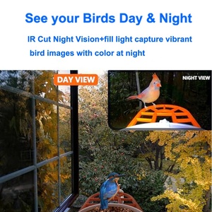 Thông minh vườn Bird Feeder với ngoài trời động vật hoang dã giám sát máy ảnh từ xa xem ai cho trong nhà và ngoài trời sử dụng CMOS cảm biến - Product Image 4