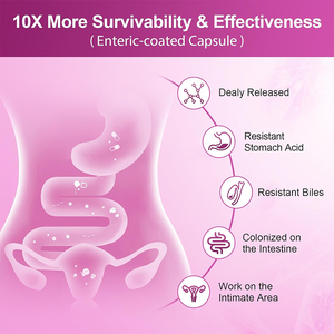 Rosebest OEM Private Label Functionele Pre- en Probiotica Capsules voor Vrouwen voor de Gezondheid van de Darmen & Spijsvertering en Vaginale & Urineweg Gezondheid - Product Image 5