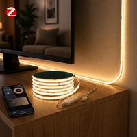 Bande LED COB sans points 528D 24V blanc chaud IP20 ROHS avec télécommande, ruban adhésif flexible, design créatif et personnalisé