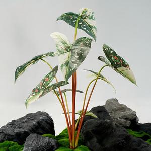 ก้านใบไม้ประดิษฐ์ 8 ใบ ใบไม้หลากสีทรงหัวลูกศร พร้อมแจกัน ตกแต่งบ้านและสำนักงานได้เลย - Product Image 2