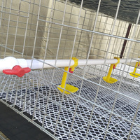 Cages à poussins de type H galvanisées automatiques de haute qualité pour l'élevage avicole ou l'usage domestique