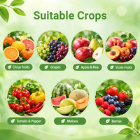 Engrais liquide marin à base de chlorelle et d'acides aminés, biostimulant pour la croissance des fruits, promoteur de prolifération cellulaire B Zn pour les cultures fruitières