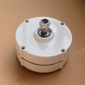 Magnet <b>Generator</b> PMG-S 200w Green Magnet Synchronous <b>Generator</b> PMSG PMG ALTERNATOR S Household Small Magnet <b>Generator</b> - Product Image 5