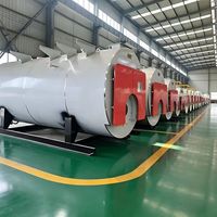 Chaudière à vapeur à foyer ouvert à trois passages de 6 tonnes, 4,2 MW, au gaz naturel, pour usage industriel en brasserie et en distillerie