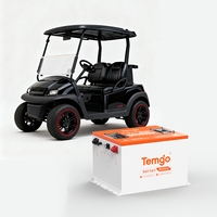 Baterai Golf Cart TEMGO Smart Bluetooth 48V 100Ah LiFePO4 dengan Casing Logam, Charger Layar LCD, dan BMS 300A untuk Dealer