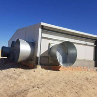 Sistema de Granja Avícola de Estructura de Acero Prefabricada Completamente Automática, Sistema de Cría de Pollos de Engorde de Alta Calidad, Avicultura a Gran Escala