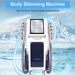 8 Handles Cryolipolysis Belly Fat Freezing Criolipolisis Cryolipolysis Machine Fat Freezing Machine Cryolipolysis 360 - Product Image 1