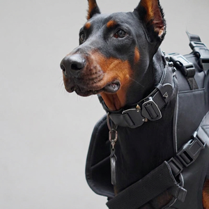 <span class=keywords><strong>Sac</strong></span> à <span class=keywords><strong>dos</strong></span> de transport professionnel pour grands chiens, support horizontal avant et arrière pour chiens âgés et handicapés, idéal pour la randonnée et les voyages - Product Image 6
