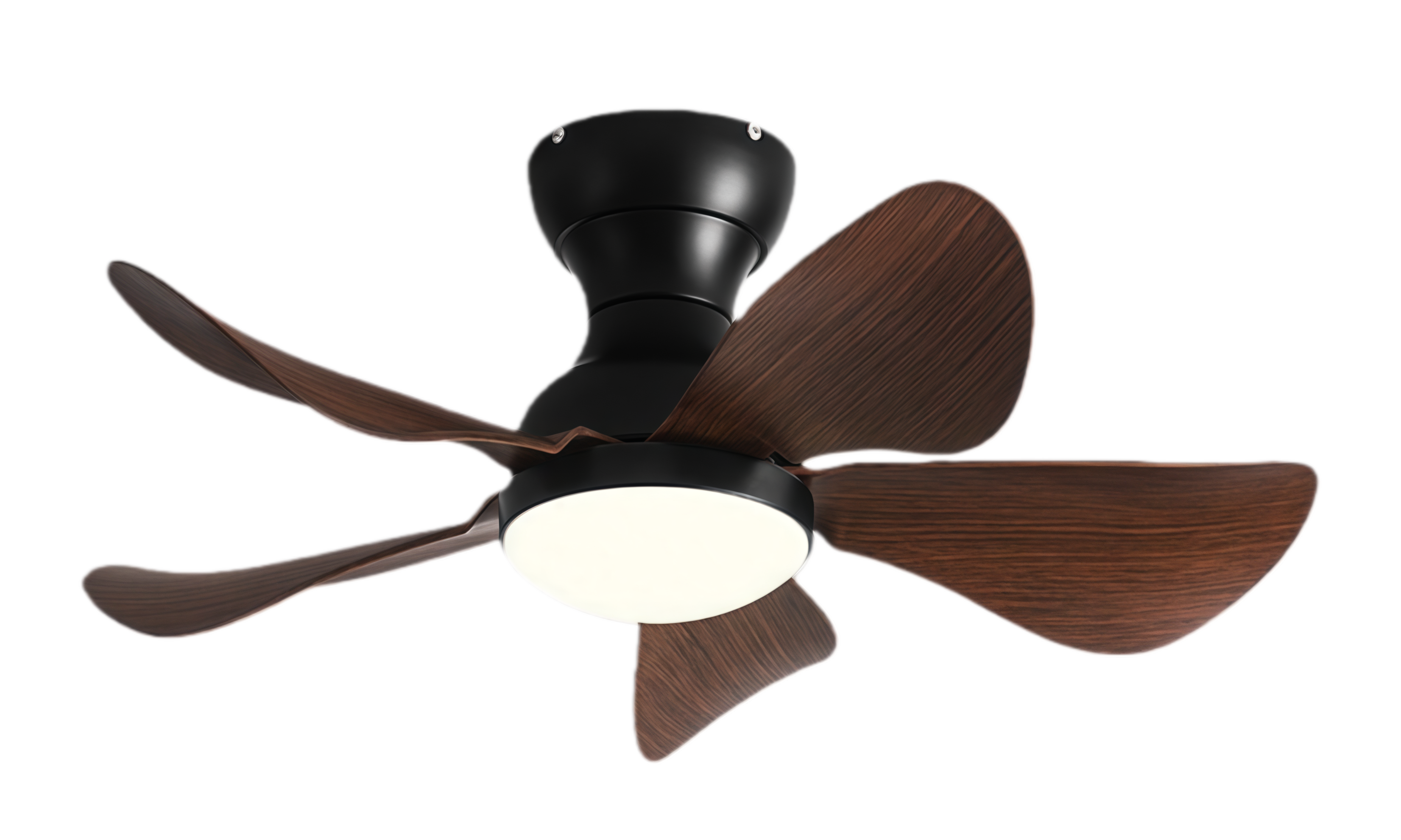 ลายไม้ Black Walnut