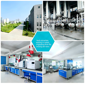 مستخلص بذور الخردل الأبيض 10:1، متوفر من مصنع شانشي، مستخلص بذور الخردل، مسحوق بذور الخردل الأبيض - Product Image 3