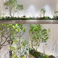 Arbres artificiels en forme de cheval ivre, plantes vertes, création de paysages, hôtel, club-house, salon de thé, arrangement floral paysager