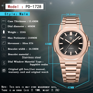 2025 nuevos relojes PAGANI DESIGN de 40MM para hombre, reloj automático de lujo para hombre, relojes de pulsera mecánicos, espejo de zafiro, reloj de regalo para hombre - Product Image 2