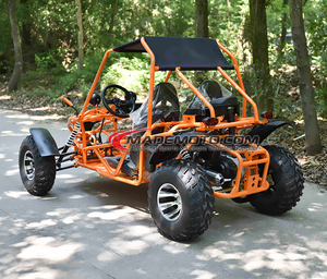 200cc lớn dành cho người lớn đi Kart 27hp <span class=keywords><strong>Dune</strong></span> 500cc 4x4 24V 2 CHỖ NGỒI 4WD off-road <span class=keywords><strong>Buggy</strong></span> được cấp phép có thể-am ma - Product Image 3